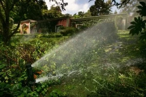 LA Imposes Stricter Limits And Ups Fine For Water Wasters LA Imposes Stricter Limits And Ups Fine For Water Wasters